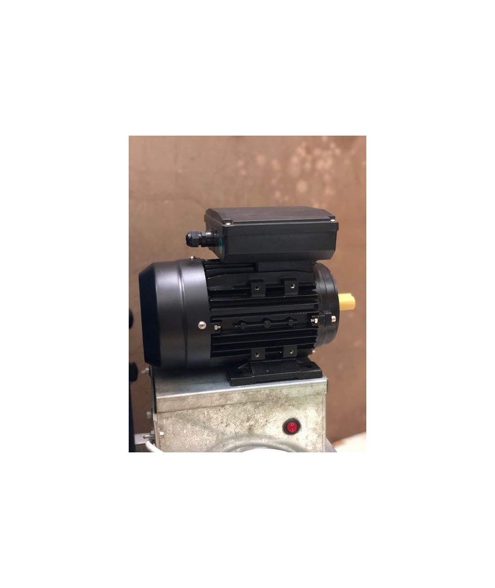 MOTOR DESPLUMADORA AVES