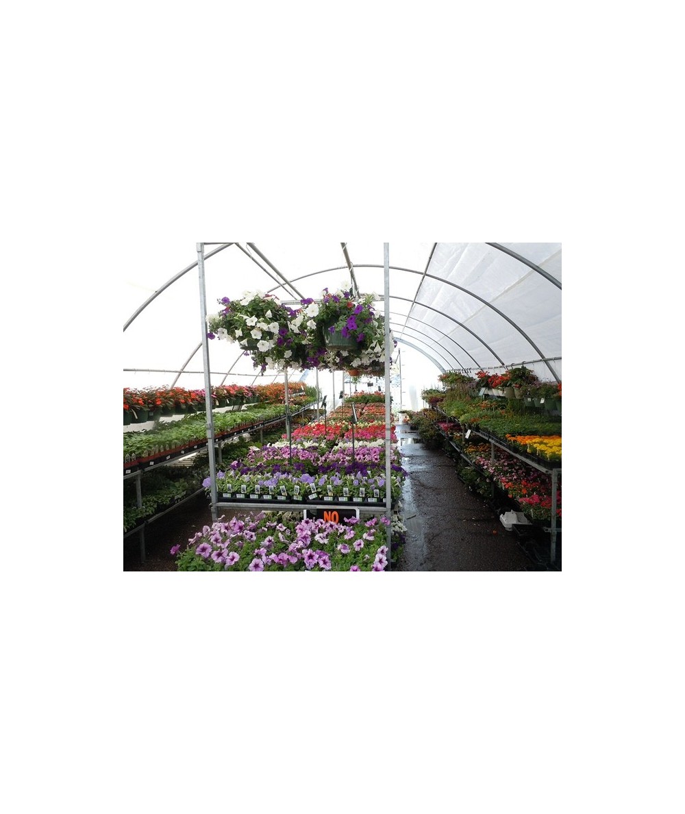 INVERNADEROS COMPLETOS