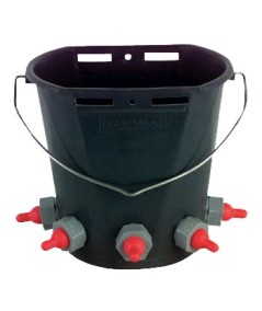 CUBO TETON CORDEROS