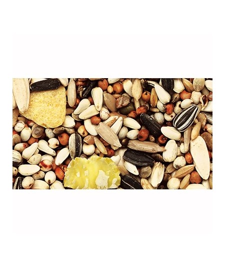  MIXTURA LOROS PREMIUM PROFESIONAL S/MAIZ 20 KG.