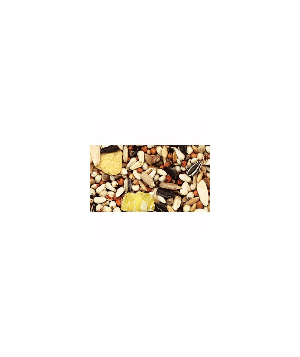  MIXTURA LOROS PREMIUM PROFESIONAL S/MAIZ 20 KG.