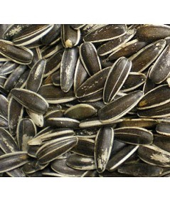 PIPAS DE GIRASOL EXTRA 2 KG.