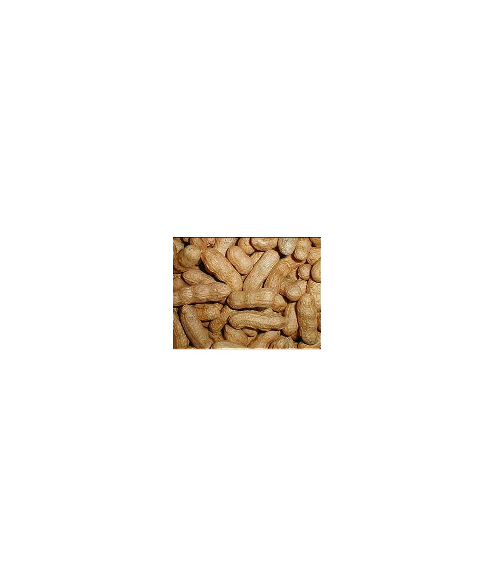  CACAHUETE CASCARA, 1.5 KG