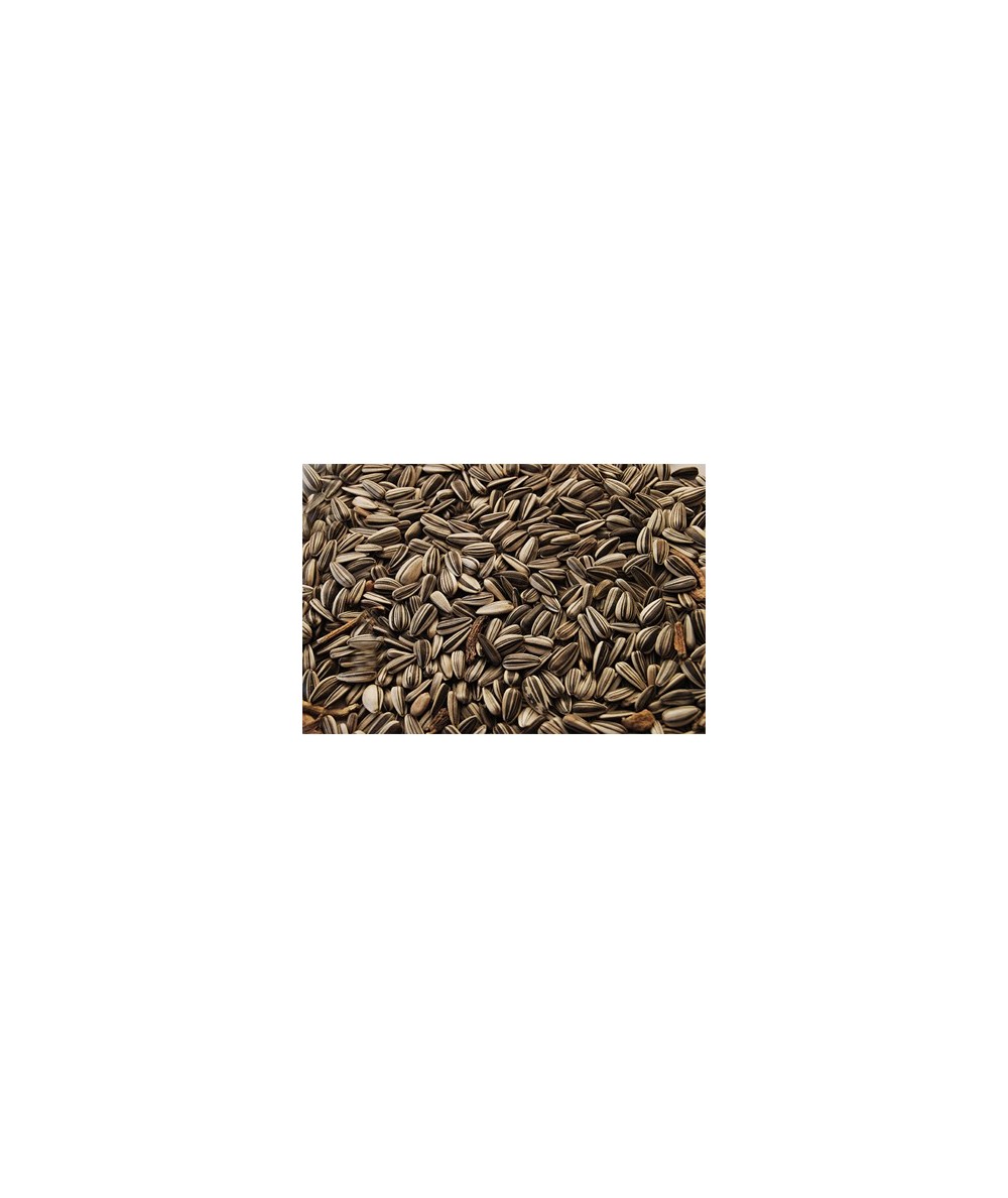 PIPAS DE GIRASOL EXTRA GRUESAS, S/23 KG