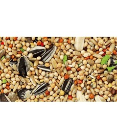 MIXTURA COTORRITAS,NINFAS,AGAPORNIS 20 KG.