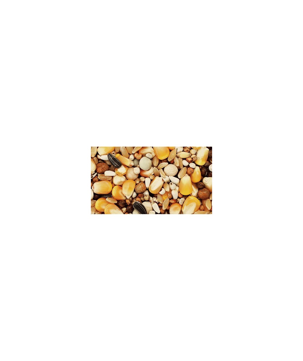 MIXTURA PARA PALOMAS SPORT 25 KG.