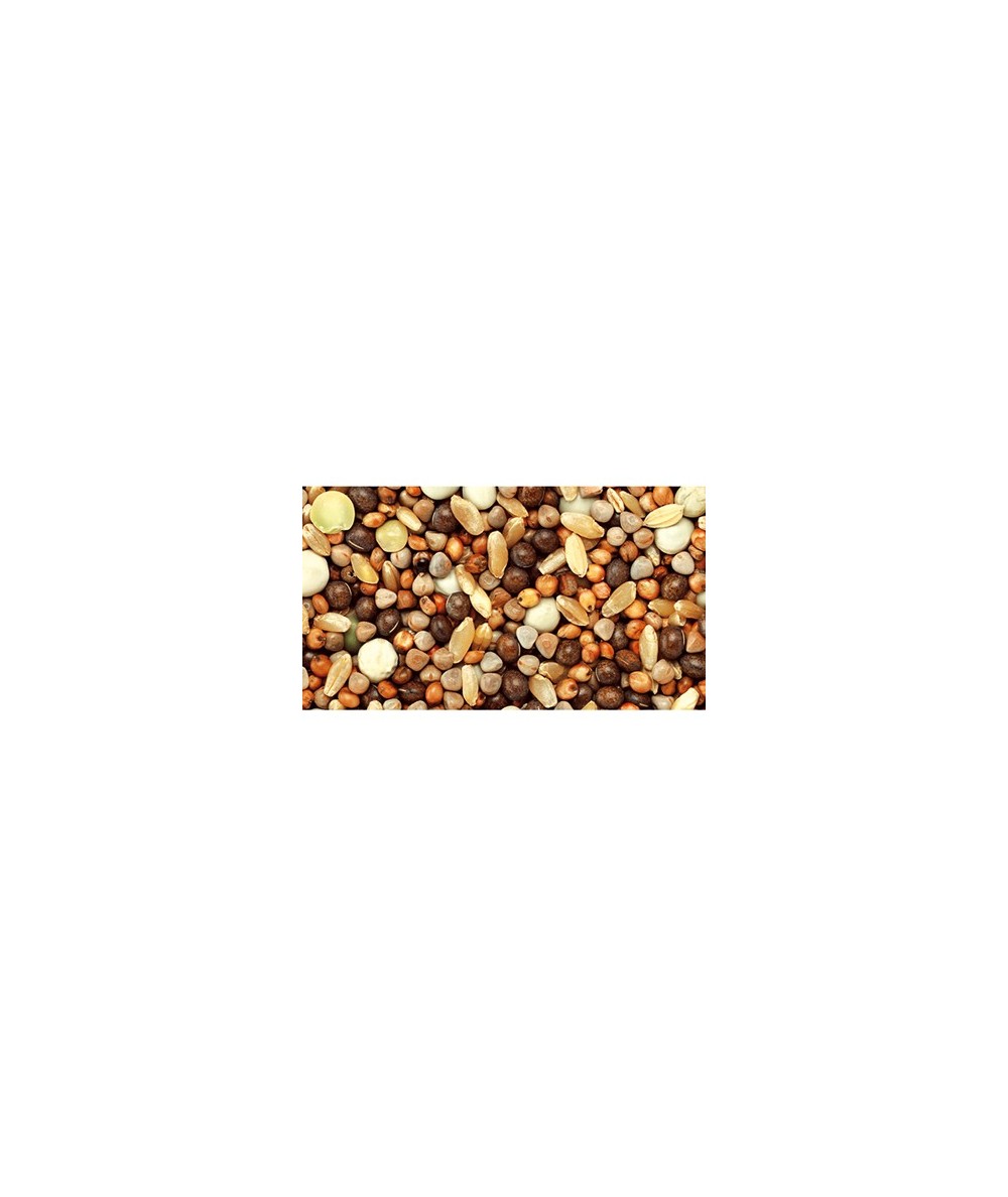 MIXTURA PALOMOS "ECO" S/MAIZ 25 KG.