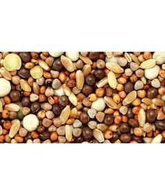 MIXTURA PALOMOS "ECO" S/MAIZ 25 KG.