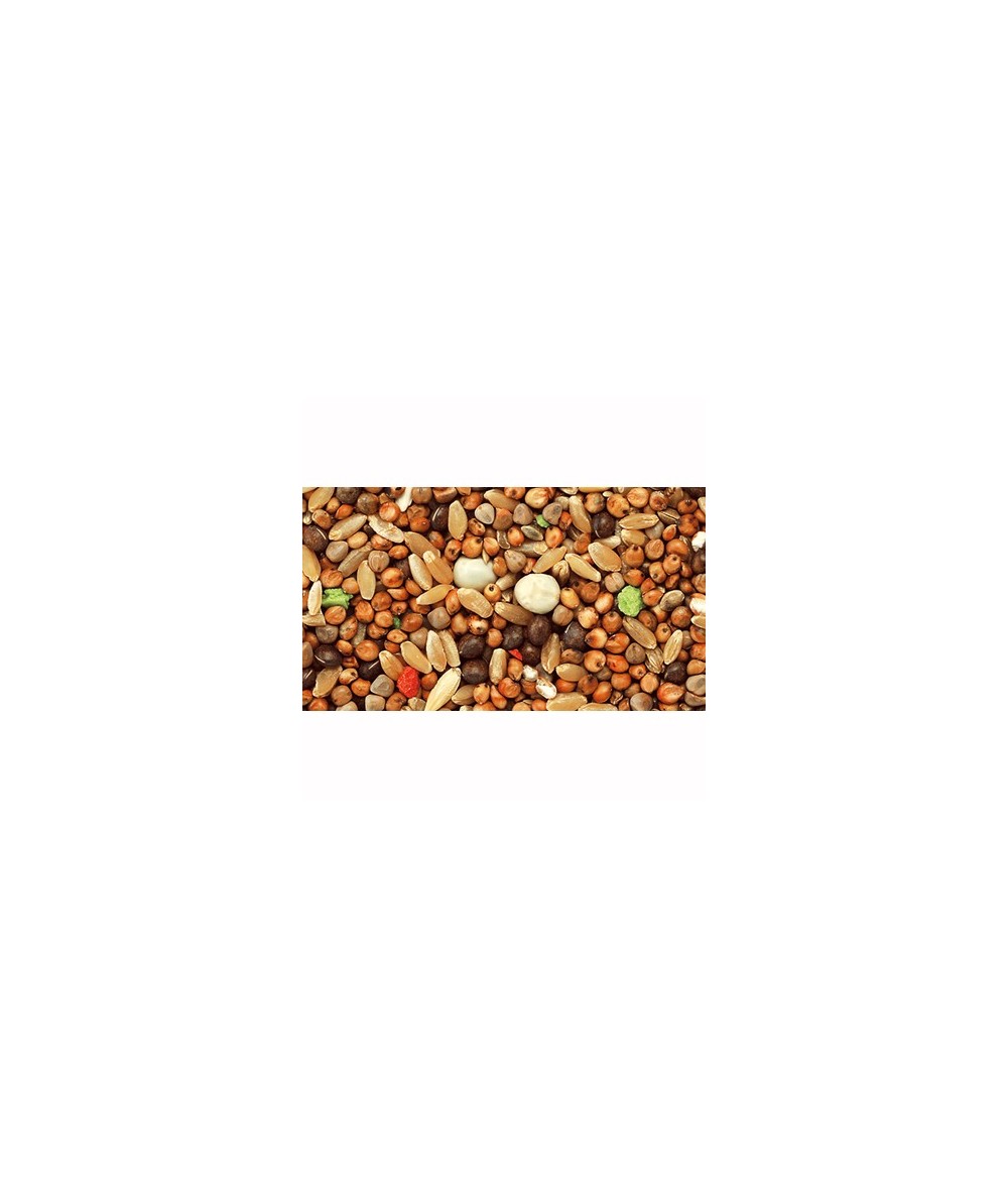 MIXTURA PALOMOS VUELO EXTRA SIN MAIZ, 25 KG
