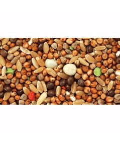 MIXTURA PALOMOS VUELO EXTRA SIN MAIZ, 25 KG