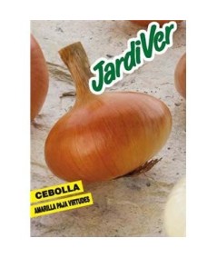 CEBOLLA PAJA VIRTUDES