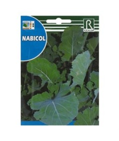 NABICOL 100 GR