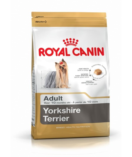 YORKSHIRE TERRIER ADULT