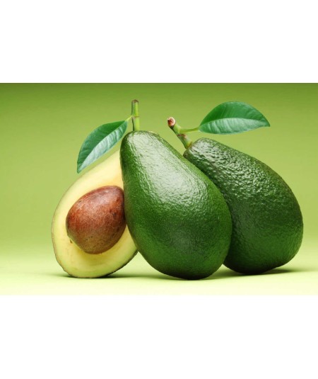 AGUACATE
