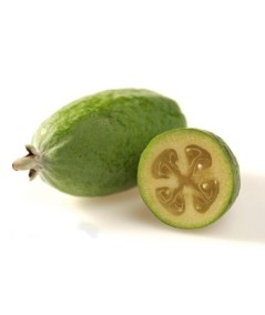 Feijoa