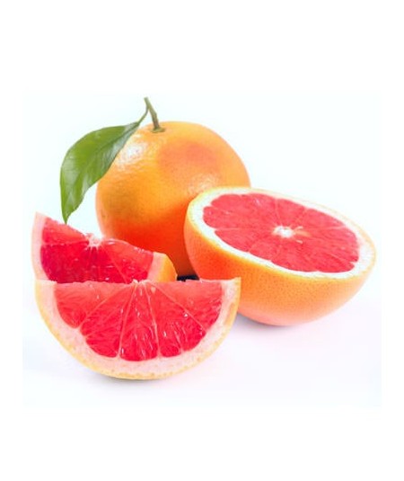 Pomelo variedad Star ruby