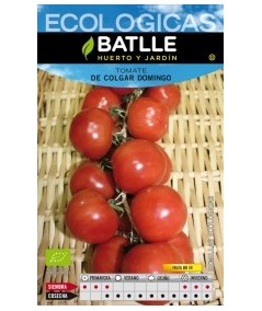 Tomate de Colgar