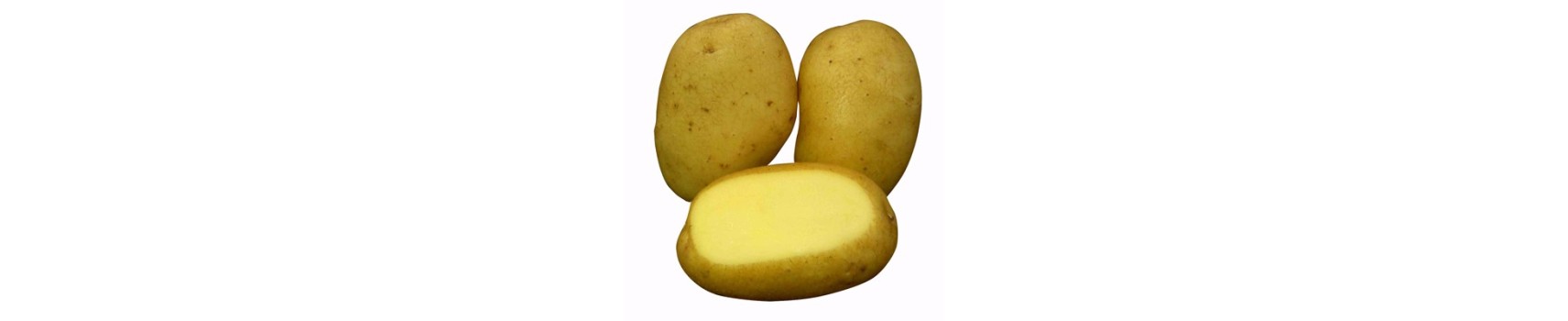 Patatas